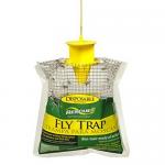      Fly Trap (3.)